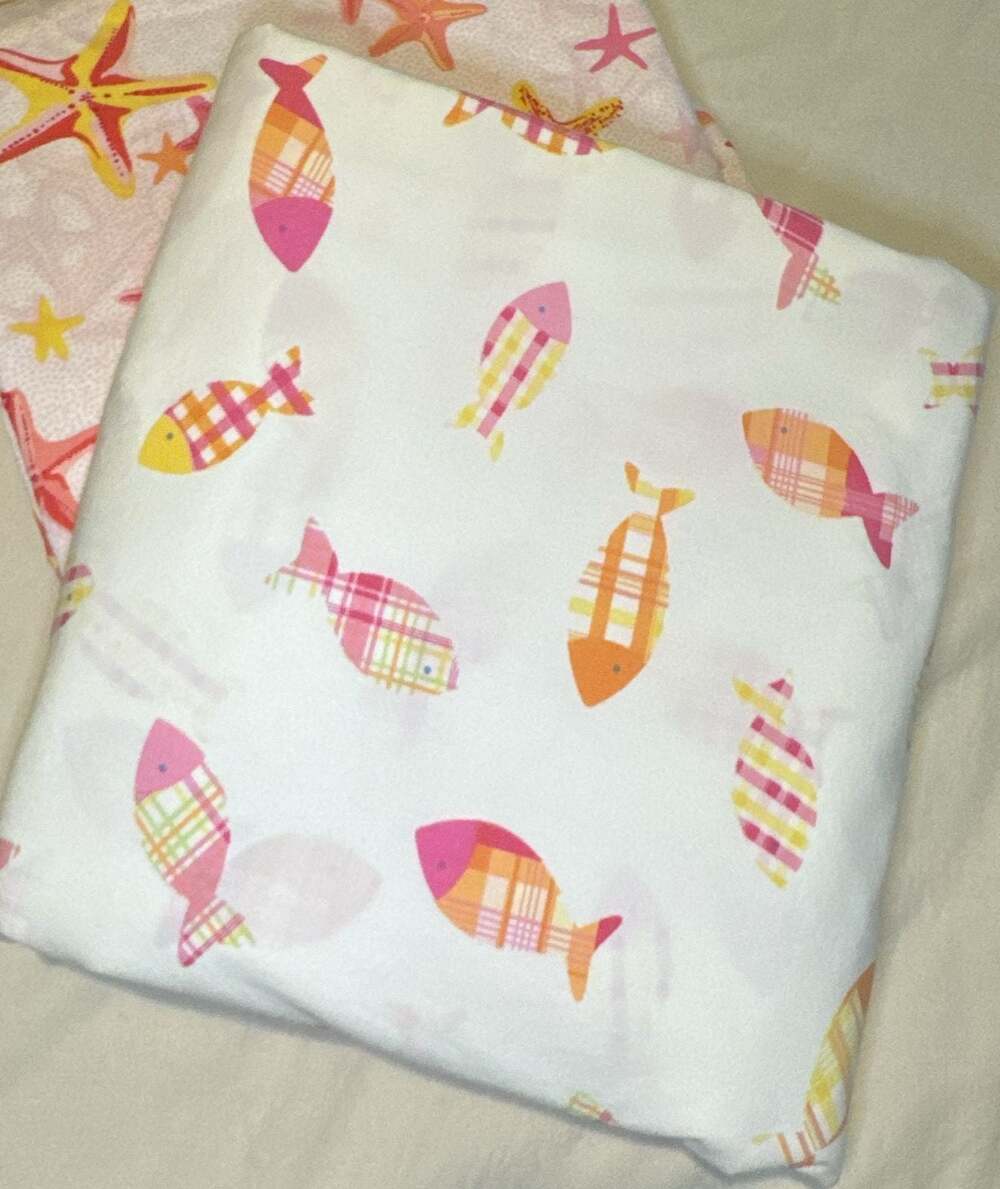 Pottery Barn Kids Twin *Duvet Cover Plaid Fish Print